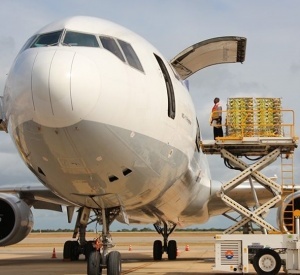 Air Cargo Transportation